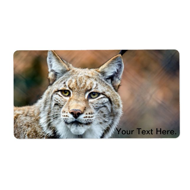 Etiqueta Lynx Bobcat Wildlife Predator Cat (Frente)