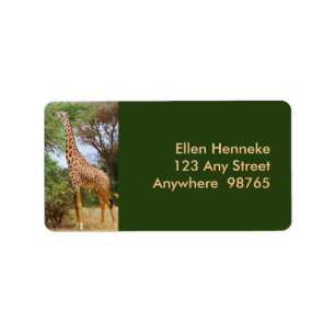 Etiqueta Maasai Giraffe