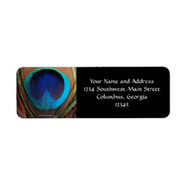 Etiqueta Macro Peacock Feather Rich Blues Fotografia