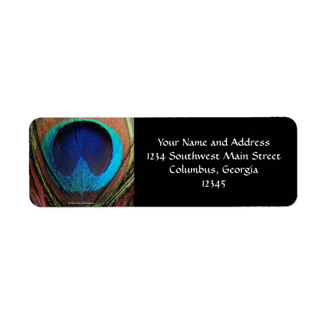 Etiqueta Macro Peacock Feather Rich Blues Fotografia (Frente)