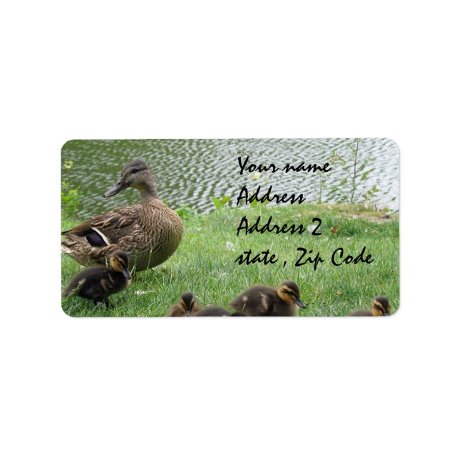 Etiqueta Mãe de patos e patinhos (Frente)