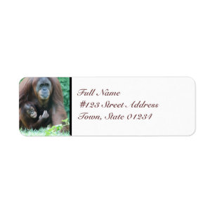 Etiqueta MailingLabel-5 - Personalizado