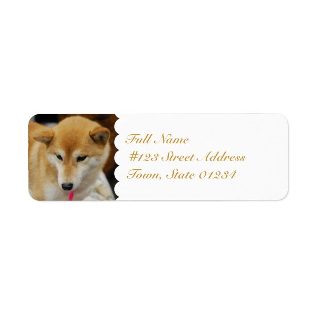 Etiqueta MailingLabel-5 - Personalizado (Frente)