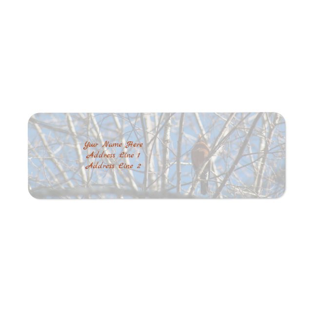 Etiqueta Mais alto para cima (Frente)