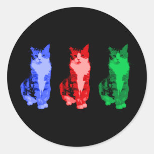 Etiqueta mal-humorada do pop do gato