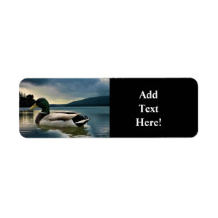 Etiqueta Mallard Duck No Lago