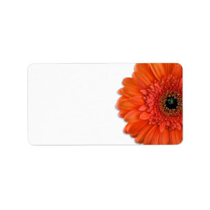 Etiqueta Margarida alaranjada do Gerbera que Wedding