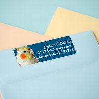 Marinho escuro divertido Papagaio Azul Cockatiel P