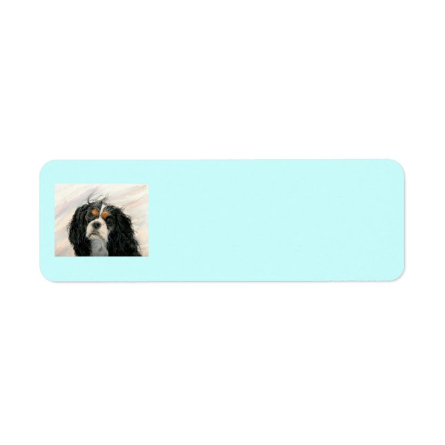 Etiqueta Mattie, o Rei Charles Cavalier (Frente)