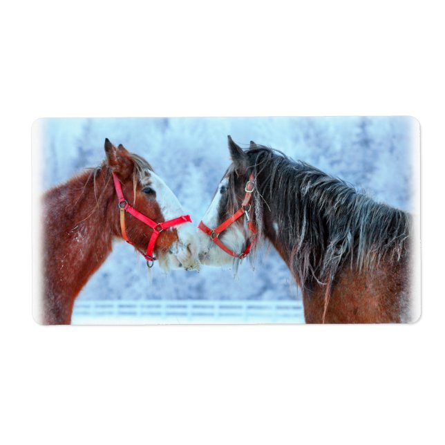 Etiqueta Melhores Amigos (Frente)