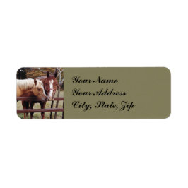 Etiqueta Melhores amigos