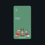 Etiqueta Merry Christmas Pit Bull Cães<br><div class="desc">Ótima ilustração de três cães Dane fantásticos vestidos em trajes de Natal.</div>