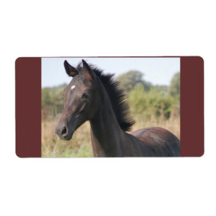 Etiqueta Meu novo pônei