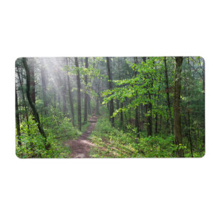 Etiqueta Misty Forest Trail em Castle Mound