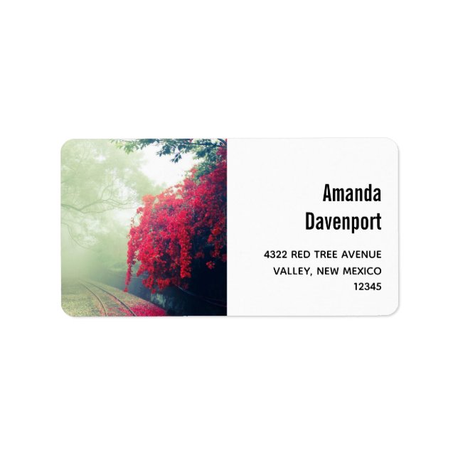 Etiqueta Misty Railroad Tracks Foto Cênica (Frente)