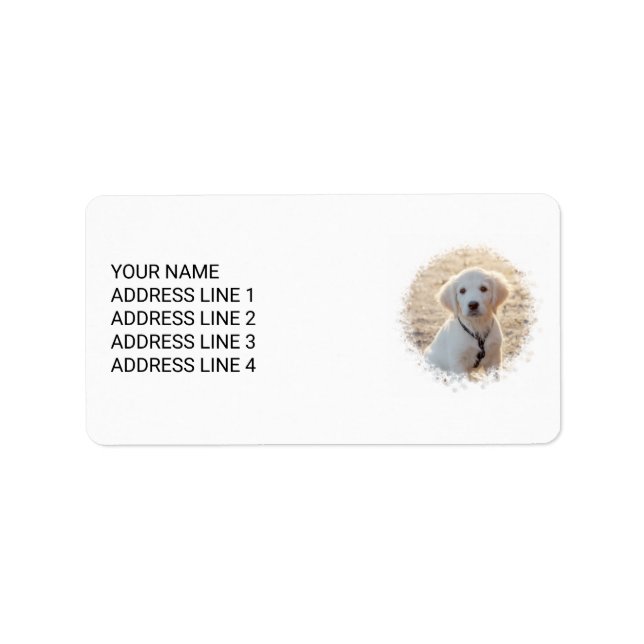 Etiqueta Modelo de Foto de Animal de Estimação Personalizad (Frente)