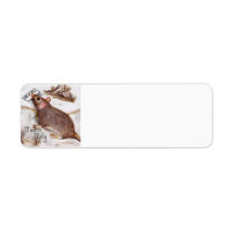 Etiqueta Molly de Caixa de Correio