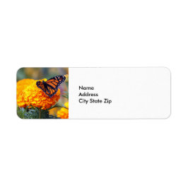 Etiqueta Monarch Butterfly Marigold Foto
