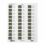 Etiqueta Monet The Artist Garden at Giverny<br><div class="desc">Etiquetas de endereço de ida e volta de flores monet com belos íris cor-de-rosa e púrpura num jardim que mergulha debaixo de árvores altas. Um presente de Monet excelente para fãs do impressionismo e da arte francesa. O impressionismo pacífico da natureza com lindas flores e paisagem cênica.</div>