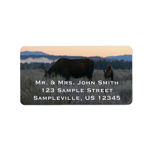 Etiqueta Moose Grazing at Sunrise em Grand Teton (Frente)