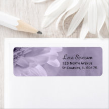 Morada de devolução de Gerber Daisy, Roxo Pálido