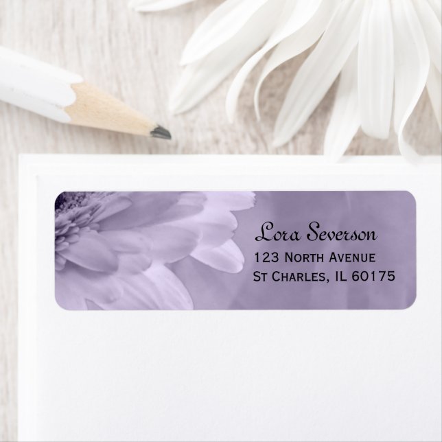 Etiqueta Morada de devolução de Gerber Daisy, Roxo Pálido (Insitu)