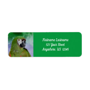 Etiqueta Morada Grave do Macaw Parrot Bird