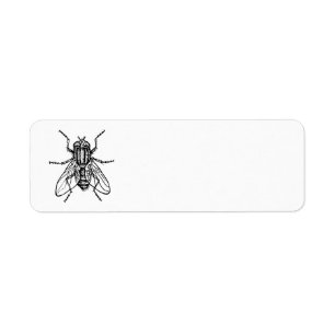 Etiqueta Mosca da casa