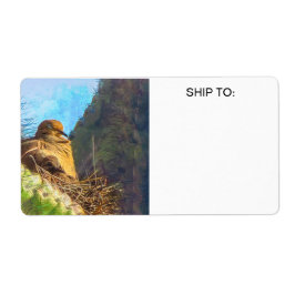 Etiqueta Mulher Da Dove De Luto Com Ninho De Bebê Saguaro C