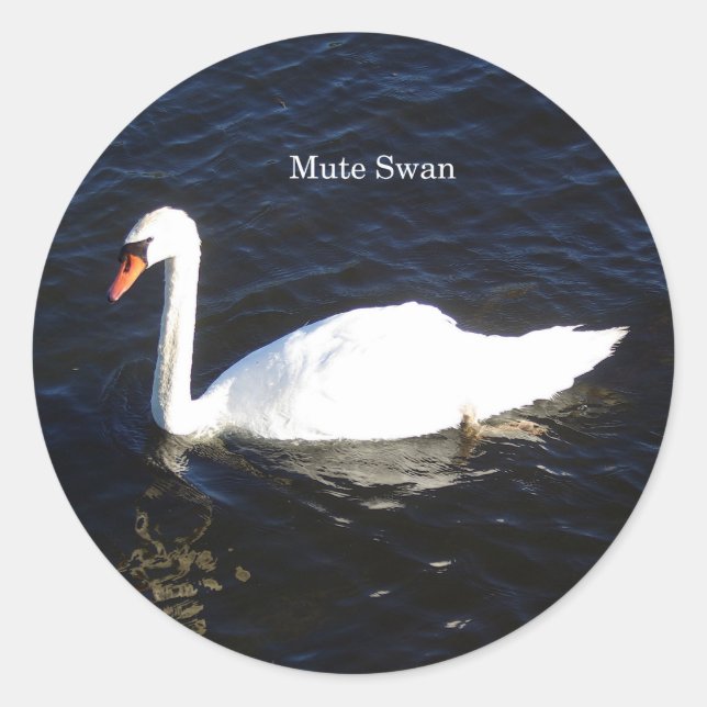 Etiqueta Mute Swan (Frente)