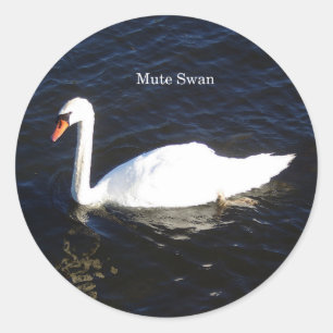 Etiqueta Mute Swan