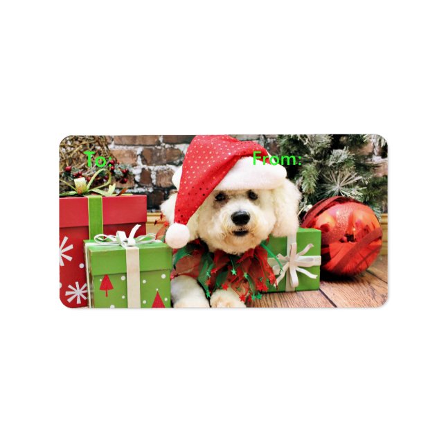 Etiqueta Natal - Bichon Frise - Daisy (Frente)