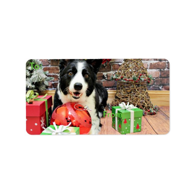 Etiqueta Natal - Border Collie - Yaeger (Frente)