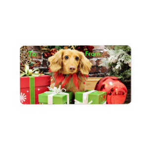 Etiqueta Natal - Dachshund - Bo
