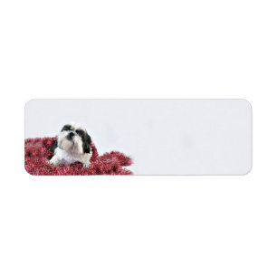 Etiqueta Natal de Shih Tzu