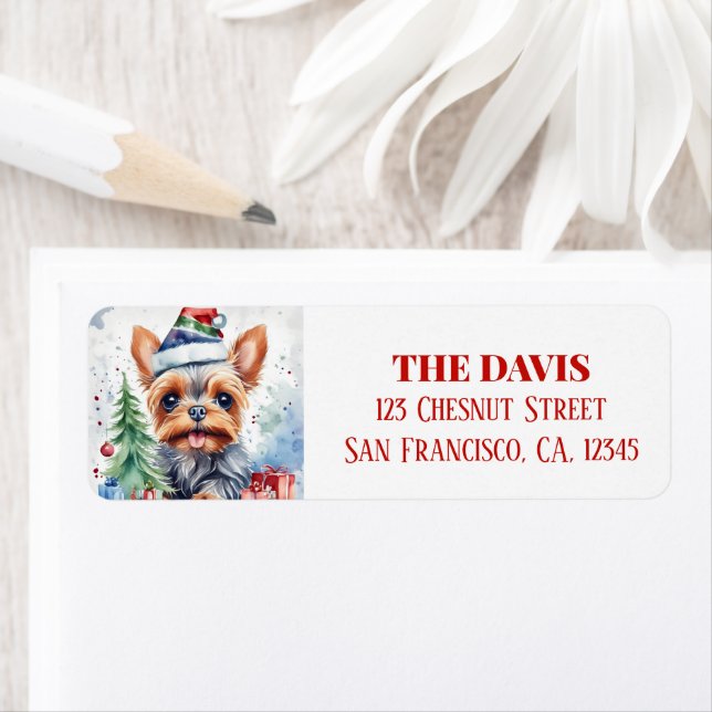 Etiqueta Natal Hat Feskshire (Insitu)