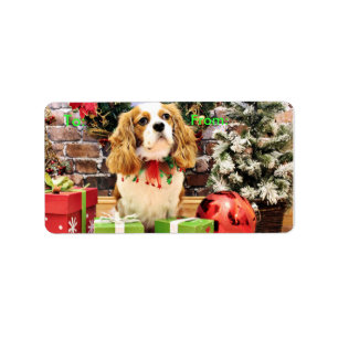 Etiqueta Natal - independente descuidado do Spaniel de rei