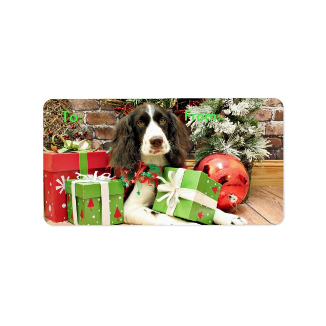 Etiqueta Natal - Inglês Springer Spaniel - Kinzie (Frente)