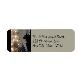 Etiqueta Natal Joy Calico Cat Devolver Rótulos