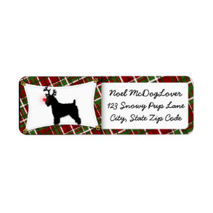 Etiqueta Natal Wheaten brandamente revestido de Terrier