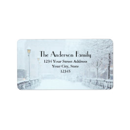 Etiqueta Neve coberta de rua com árvores e postes