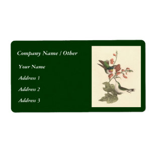 Etiqueta O colibri Vermelho-throated (colubris de