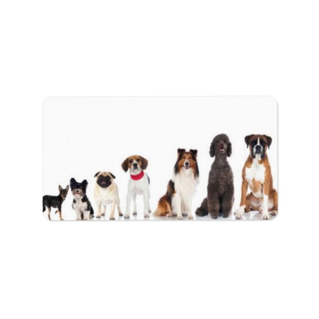 Etiqueta "o melhor amigo do homem." (Frente)