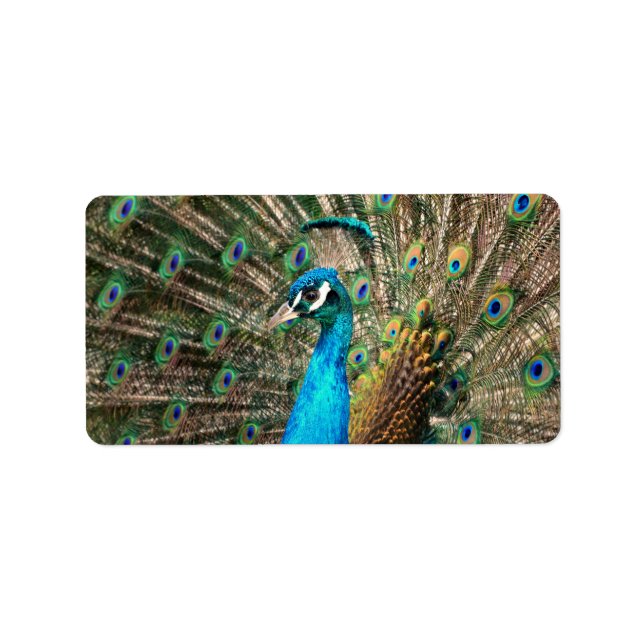 Etiqueta O pavão azul (Frente)