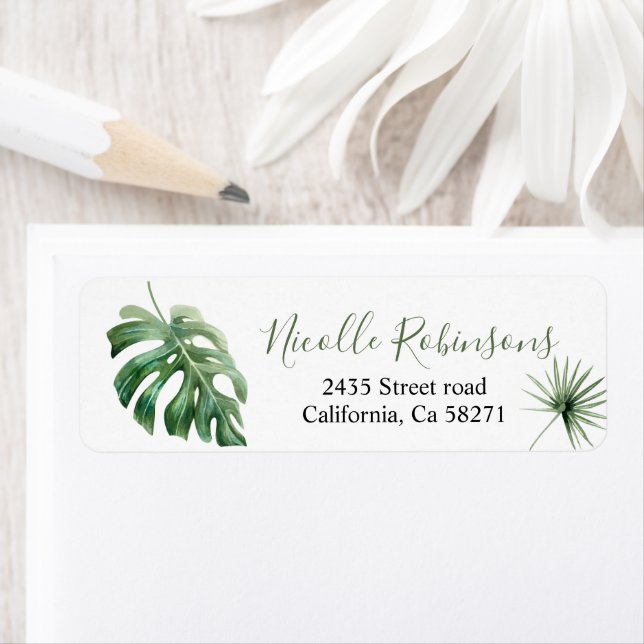 Etiqueta of direction Monstera tropical (Insitu)