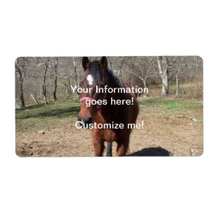 Etiqueta Olá! lá Horsey