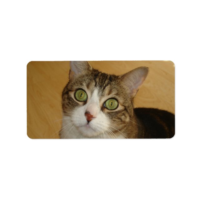 Etiqueta Olhos de Gato (Frente)