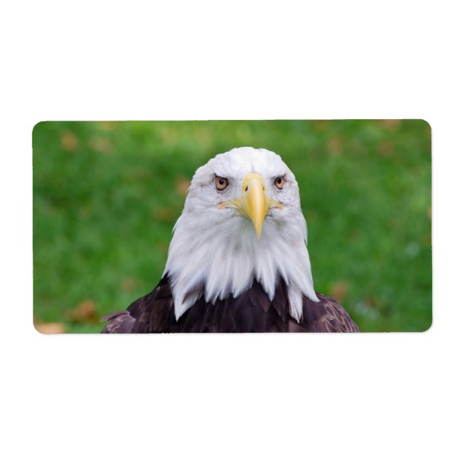 Etiqueta Olhos de uma águia (Frente)