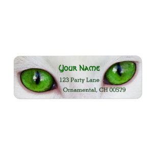 Etiqueta Olhos verdes do gatinho
