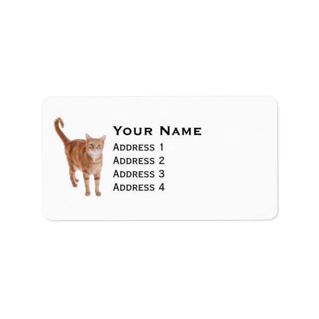 Etiqueta Orange Tabby Cat (Frente)